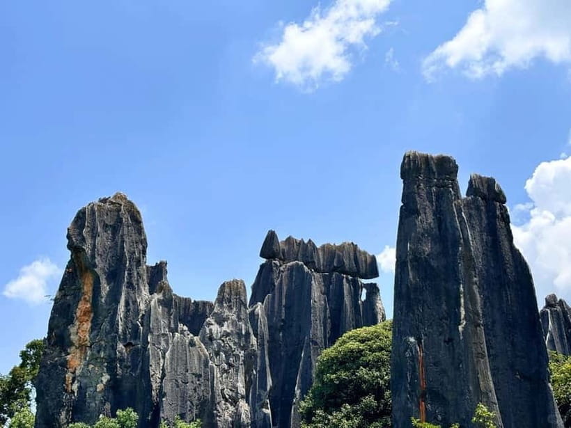 Kunming: Stone Forest, Roast Duck Lunch and City Tour - Key points to know before you book