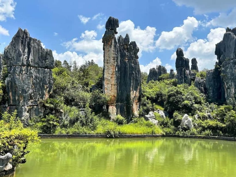 Kunming: Stone Forest, Roast Duck Lunch and City Tour - Why the Stone Forest is worth the long outing