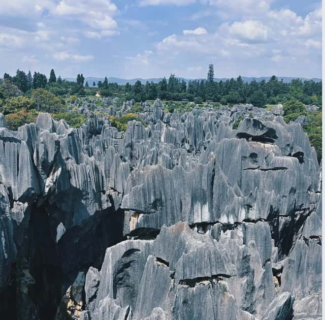 Kunming: Stone Forest, Roast Duck Lunch and City Tour - Walking the Greater and Lesser Stone Forest