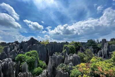 Stone Forest, Roast Duck Lunch and City Tour