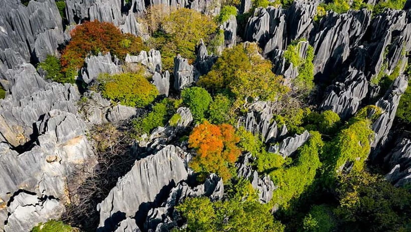 Kunming: Stone Forest, Roast Duck Lunch and City Tour - Should you book it?
