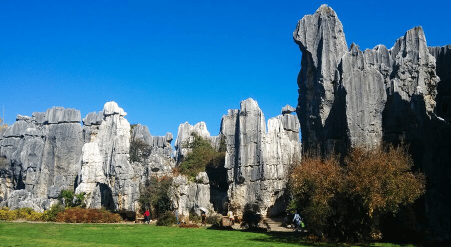 KunmingStone Forest Private Tour:Scenic Walks+Guide Insights - What the private format changes