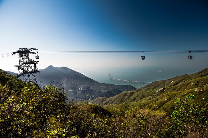 Lantau HK Guided Tour - Cable Car, Tai O, Big Buddha, Monastery - Timing, group size, and physical effort