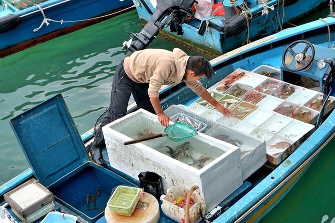 Lantau Island Day Trip - Big Buddha & Tai O - Who should book this Lantau Island day trip?