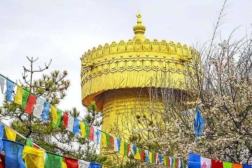 Lijiang to Shangri-La HuXiang Road Private Scenic Tour - Niru Village and the cultural side of Shangri-La