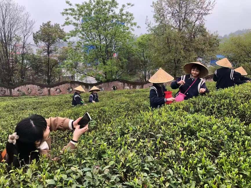 Longji Rice Terraces: 1-Day Private Tour - Key points to know before you book