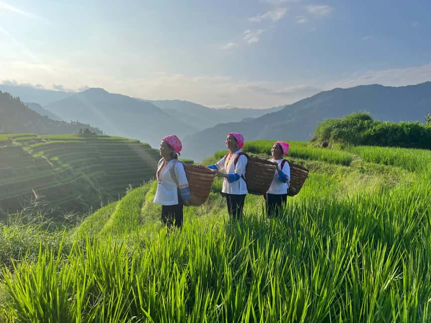 Longji Rice Terraces: 1-Day Private Tour - Practical tips for making the day better