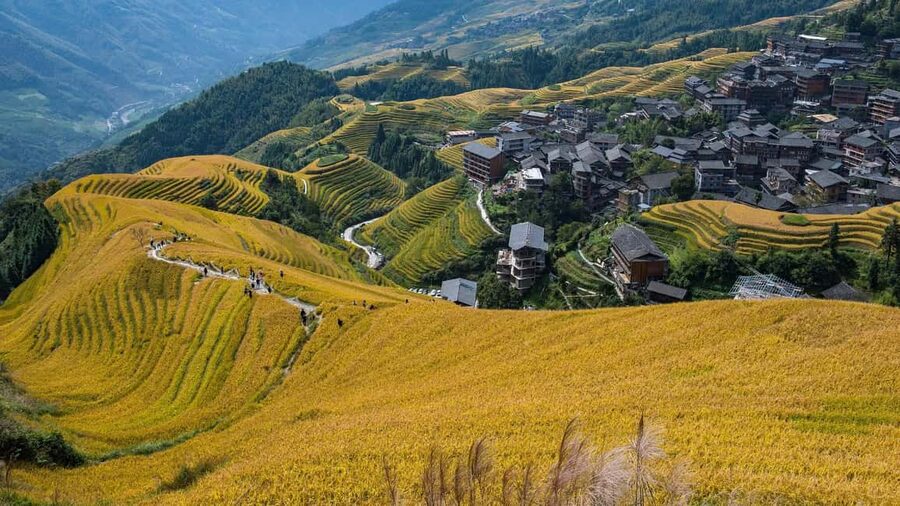 Longji Rice Terraces: 1-Day Private Tour - Huangluo Yao Village and the Red Yao tradition