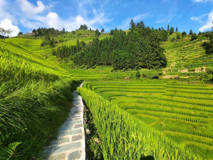 Longji Rice Terraces: Full-Day Private Tour from Guilin - Key points to know before you book