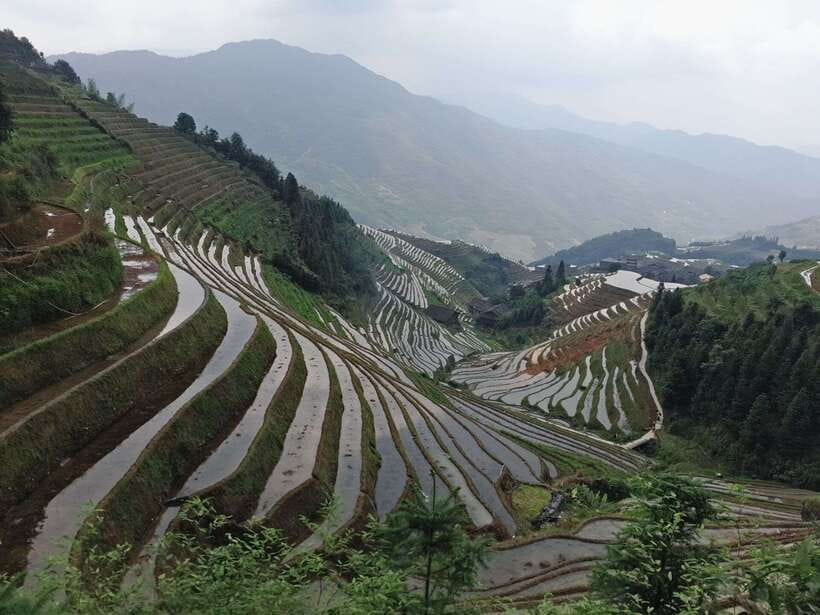 Longji Rice Terraces: Full-Day Private Tour from Guilin - Ping’an village and its wooden houses