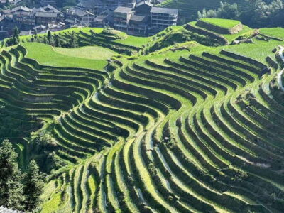 Longji Rice Terraces: Full-Day Private Tour from Guilin