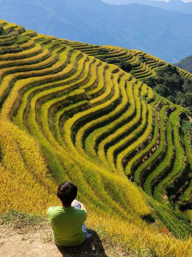 Longji Rice Terraces: Full-Day Private Tour from Guilin - Timing, comfort, and practical limits