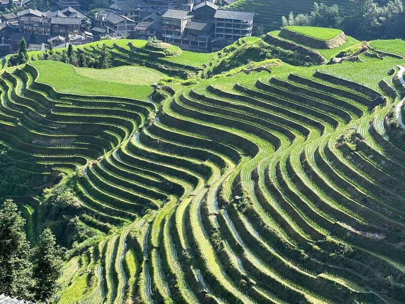 Longji Rice Terraces: Full-Day Private Tour from Guilin - The private ride from Guilin or Yangshuo