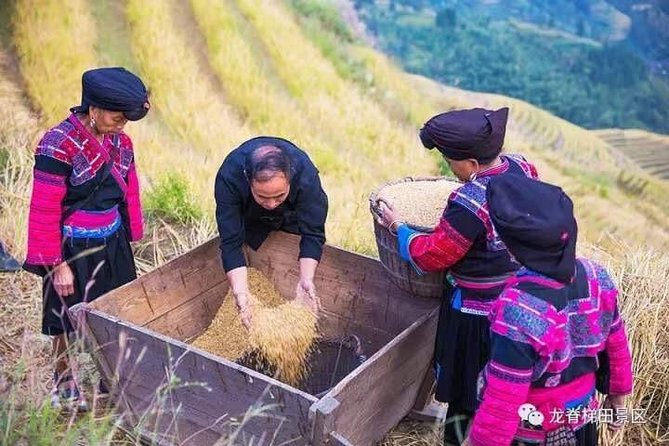 Longji rice terraces & minority villages private day tour - Why Longji is worth the long ride from Guilin