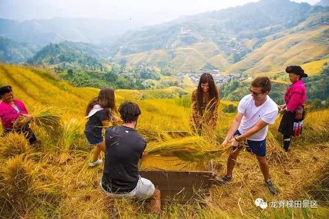 Longji rice terraces & minority villages private day tour - The three-hour ride into the mountains