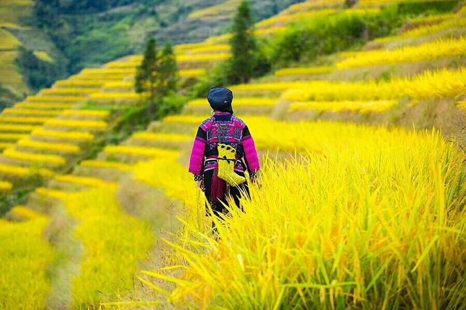 Longji rice terraces & minority villages private day tour - Ping’an and the included sightseeing vehicle