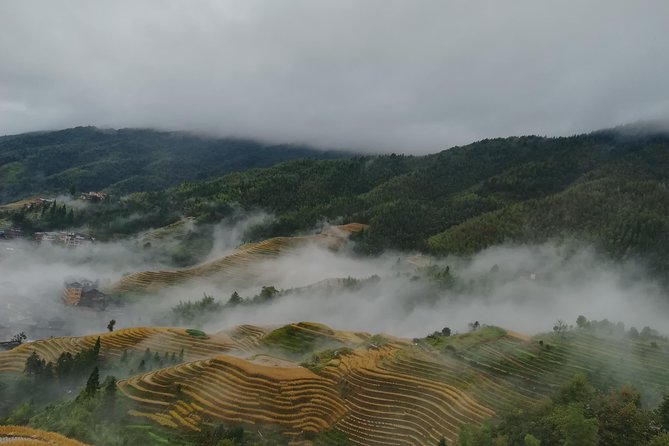 Longji Rice Terraces with Minority Village Private Day Tour - Why the Dragon’s Backbone is worth the long ride