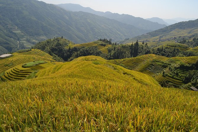 Longji Rice Terraces with Minority Village Private Day Tour - Huangluo village and the Yao connection