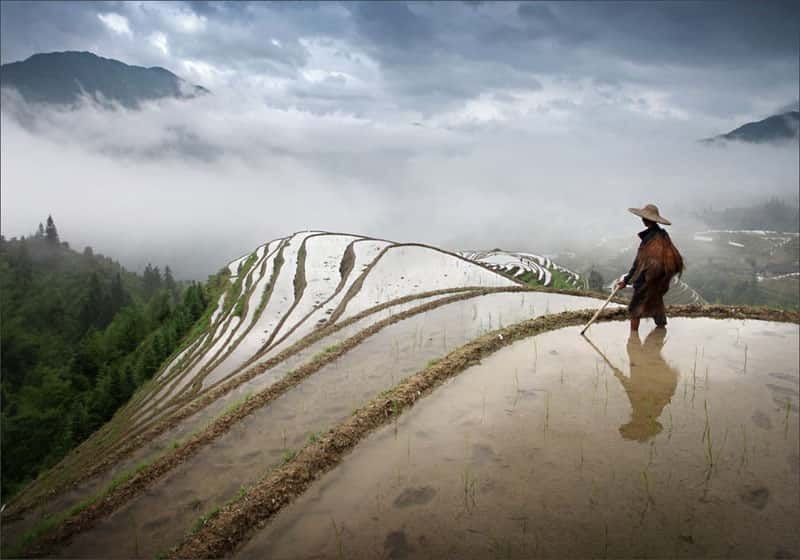 Longsheng Ethnic Minority & Rice Terraces Full-Day Tour - The Yao village stop and what to expect