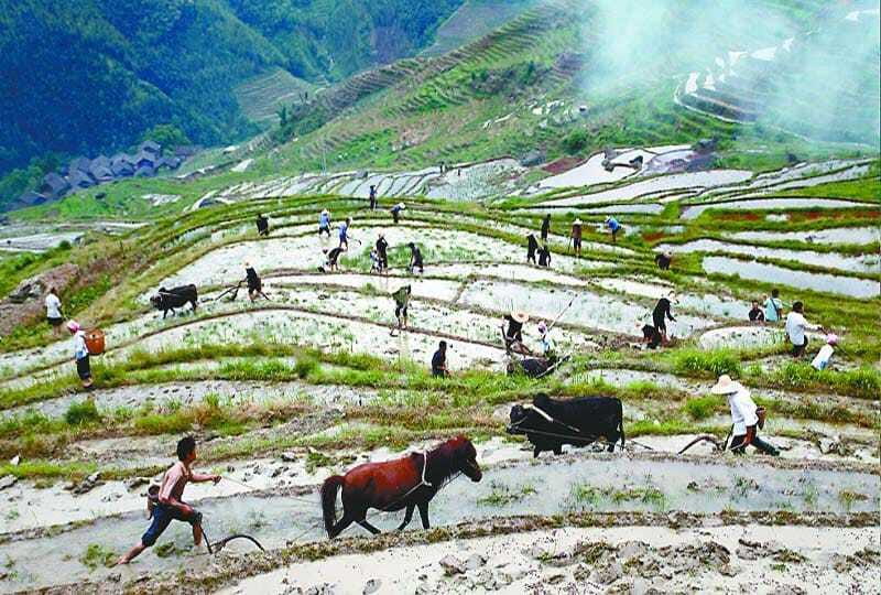 Longsheng Ethnic Minority & Rice Terraces Full-Day Tour - When this tour suits you best