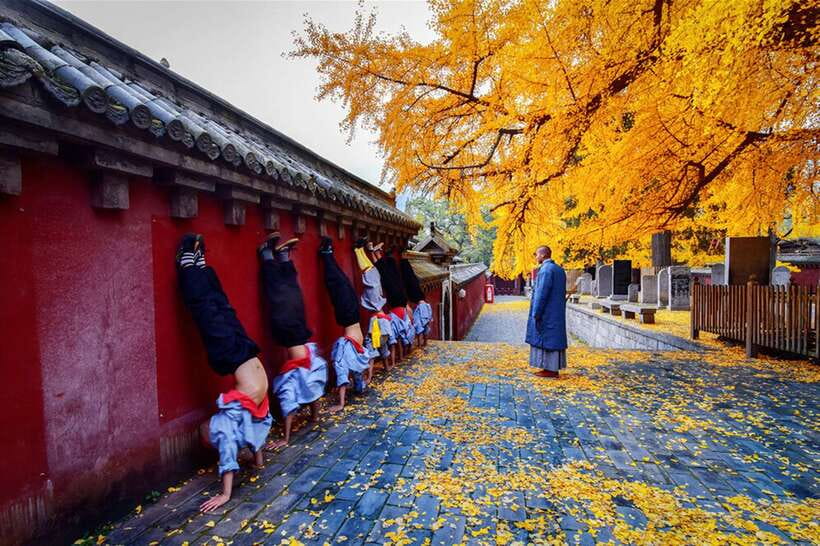 Louyang Day Tour from Xian: Longmen Grottoes, Shaolin Temple - Why combine Longmen Grottoes and Shaolin Temple?