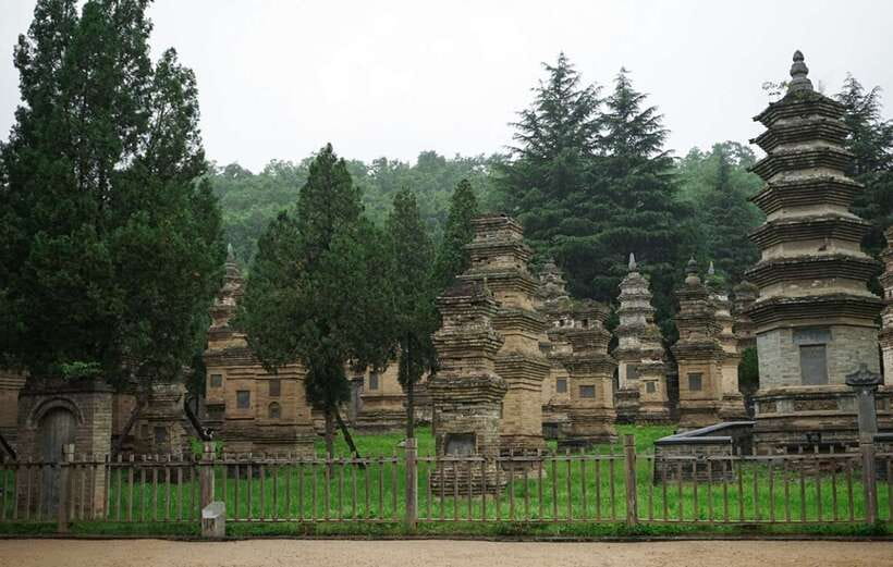 Louyang Day Tour from Xian: Longmen Grottoes, Shaolin Temple - Longmen Grottoes and the scale of Buddhist stone art