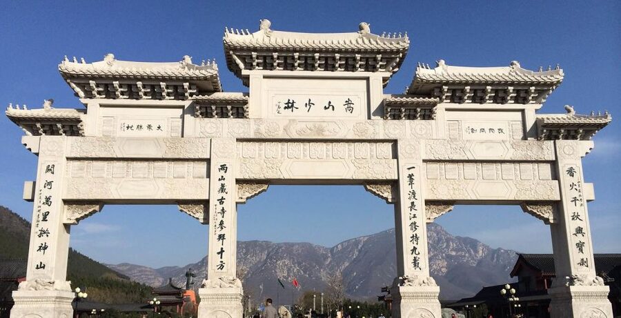 Luoyang Private Day Tour to Shaolin Temple&Longmen Grottoes - The Pagoda Forest and its centuries of memorials