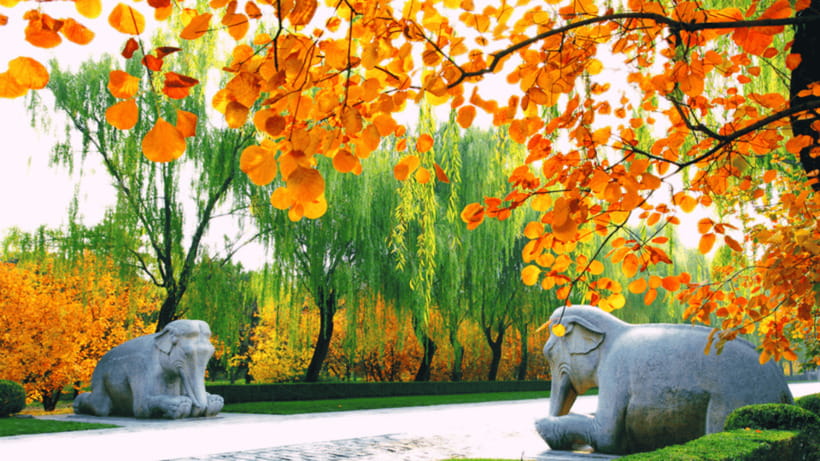 Ming Tombs Admission Ticket - Should you book the Ming Tombs ticket?
