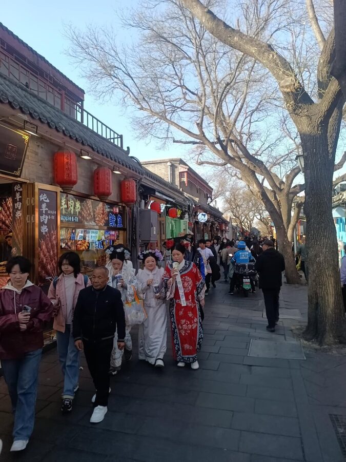 Mutianyu Great Wall And Gubei Watertown Private Day Tour - Should you book it?
