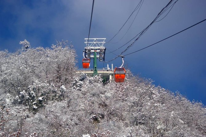 Mutianyu Great Wall&Summer Palace Excursion:Group/Private Options - Lunch and the change of pace