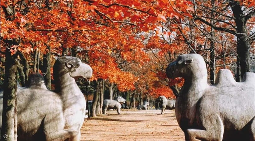 Nanjing:Must-See Attractions in One Day+Customized Itinerary - Timing, price, and who should book