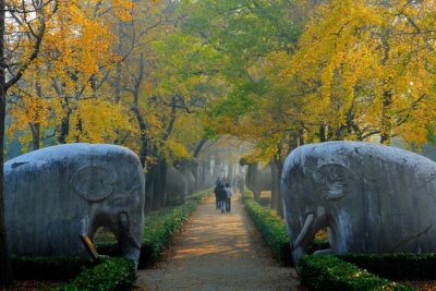 Nanjing Private English Tour Guide Service