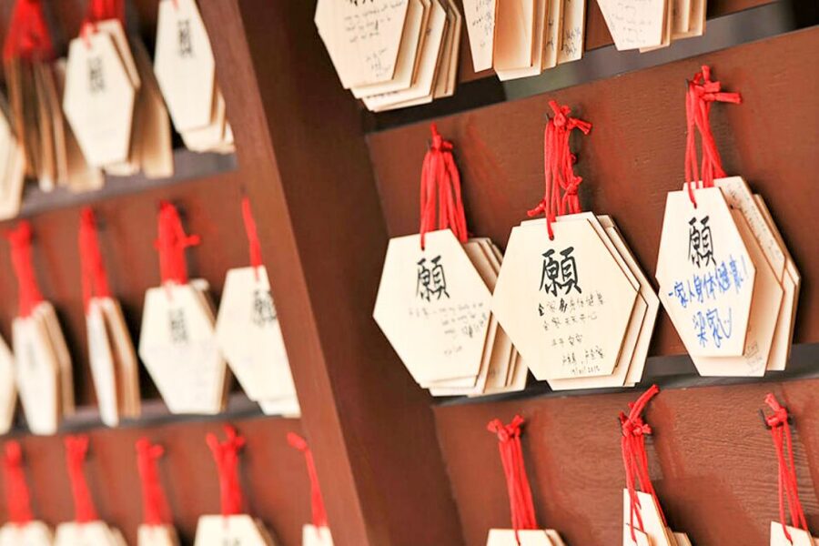 Ngong Ping 360: Cable Car Return Tickets & Combos - Is the $30 price good value?