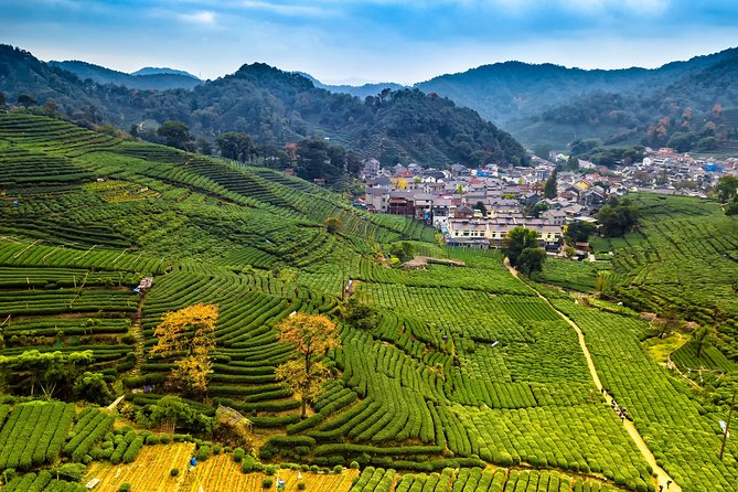One-Day Hangzhou Dragon Well Tea Culture & West Lake Private Tour - Meijiawu Tea Village and the Dragon Well tradition
