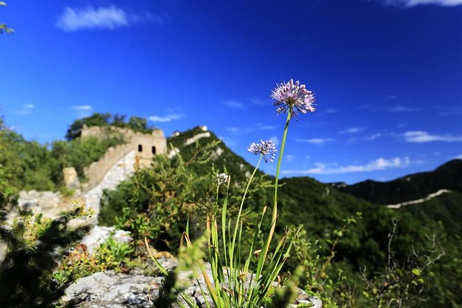 Private Great Wall Hiking from Jiankou to Mutianyu - A 7:30 a.m. pickup makes the long day easier
