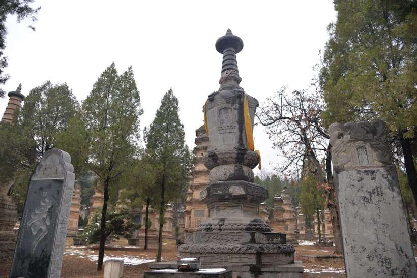 Private Tour: Longmen Grottoes, Shaolin Temple & Kungfu Show - What makes the grottoes worth your time