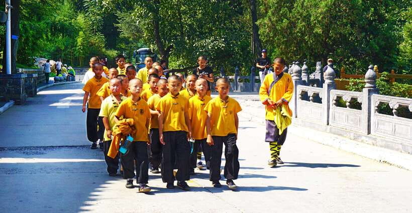 Private Tour: Longmen Grottoes, Shaolin Temple & Kungfu Show - Starting from Luoyang, Zhengzhou, or Xi’an