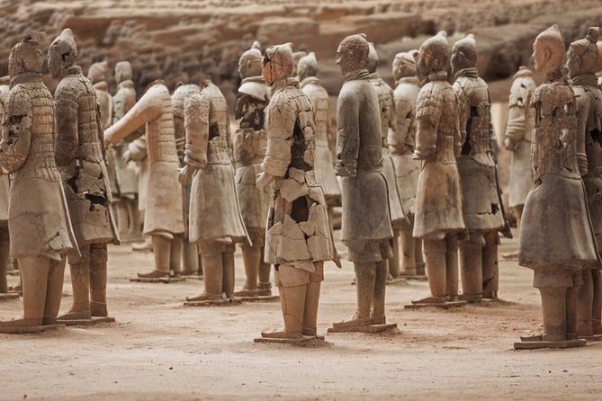 Private Xian Day Tour: Terracotta Warriors, Big Wild Goose Pagoda - Big Wild Goose Pagoda brings Tang-era Xi’an into focus