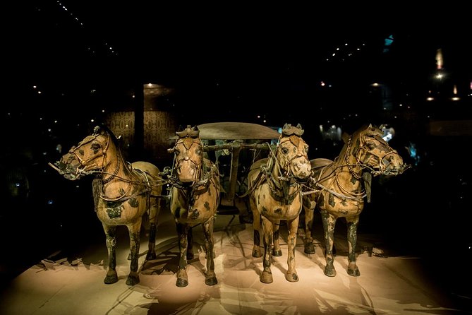 Private Xian Day Tour: Terracotta Warriors, Big Wild Goose Pagoda - What $127 buys you in practical terms