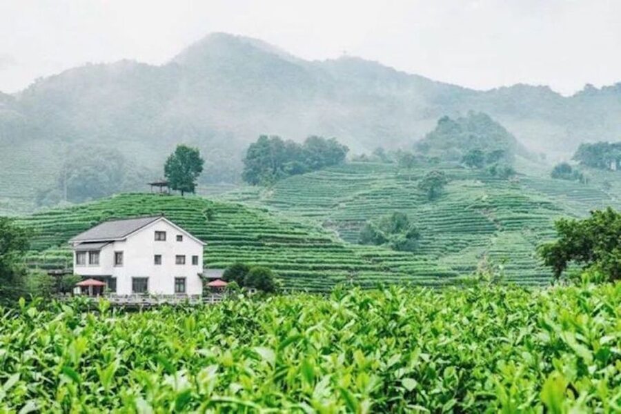 Shanghai: Private Guided Tour to Hangzhou by Bullet Train - Should you book it?