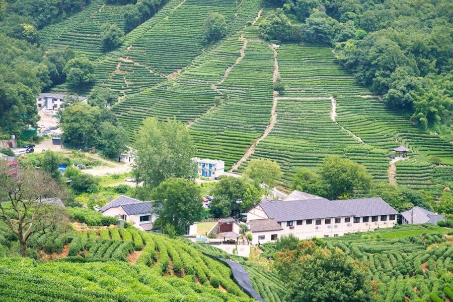 Shanghai: Private Guided Tour to Hangzhou by Bullet Train - Why Hangzhou works as a day trip from Shanghai