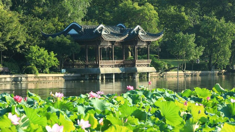 Shanghai: Private Guided Tour to Hangzhou by Bullet Train - Longjing tea country and the local lunch