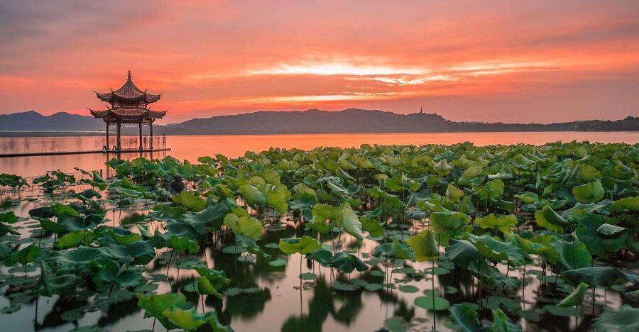 Shanghai: Private Guided Tour to Hangzhou by Bullet Train - Pickup limits, timing, and useful planning