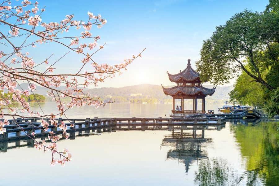 Shanghai: Private Guided Tour to Hangzhou by Bullet Train - Who should book this Hangzhou trip?