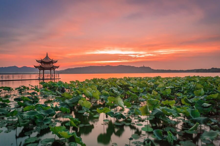 Shanghai: Private Guided Tour to Hangzhou by Bullet Train - West Lake by foot and boat