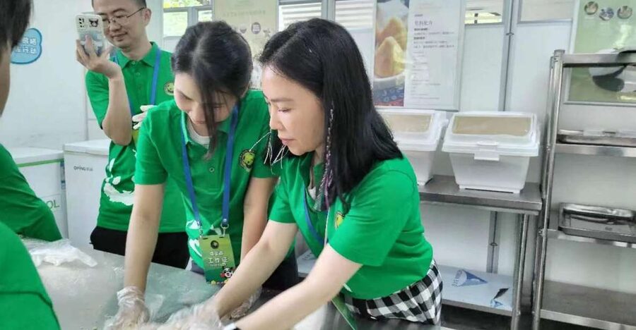 Sichuan: Big Panda Volunteer Day tour - The setting and the animals