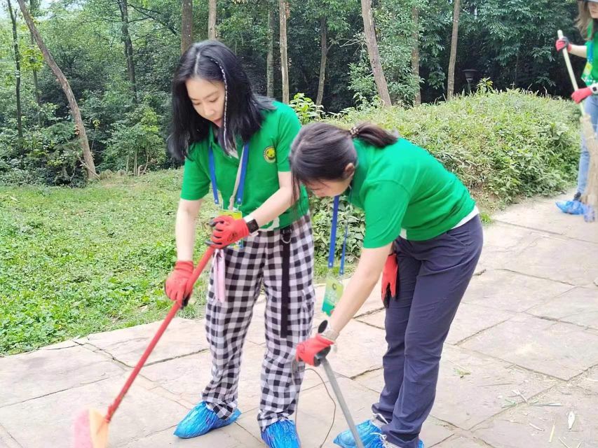 Sichuan: Big Panda Volunteer Day tour - Photos, cubs, and animal welfare