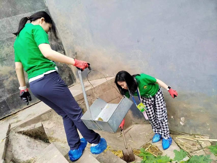 Sichuan: Big Panda Volunteer Day tour - Is $347 a fair price?