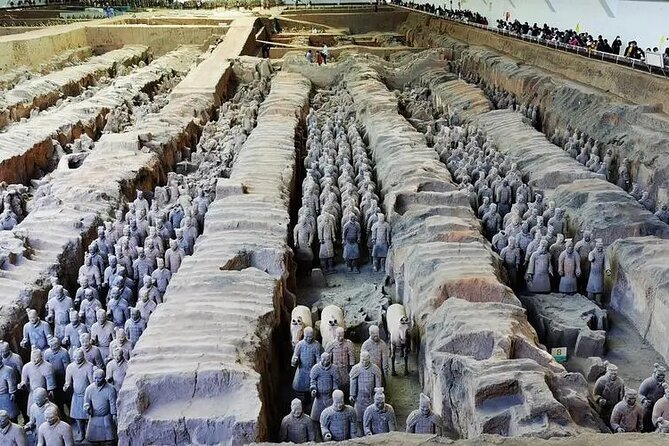 Terra-cotta Warriors Entrance Ticket with Optional Guided Service - Who will get the most from this experience
