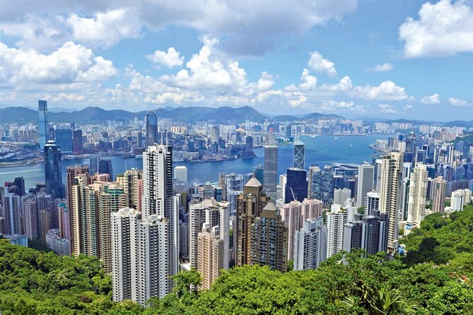 Top-Rated Hong Kong Tour: Peak Tram, Dim Sum & Cultural Sights - The afternoon Victoria Harbour cruise